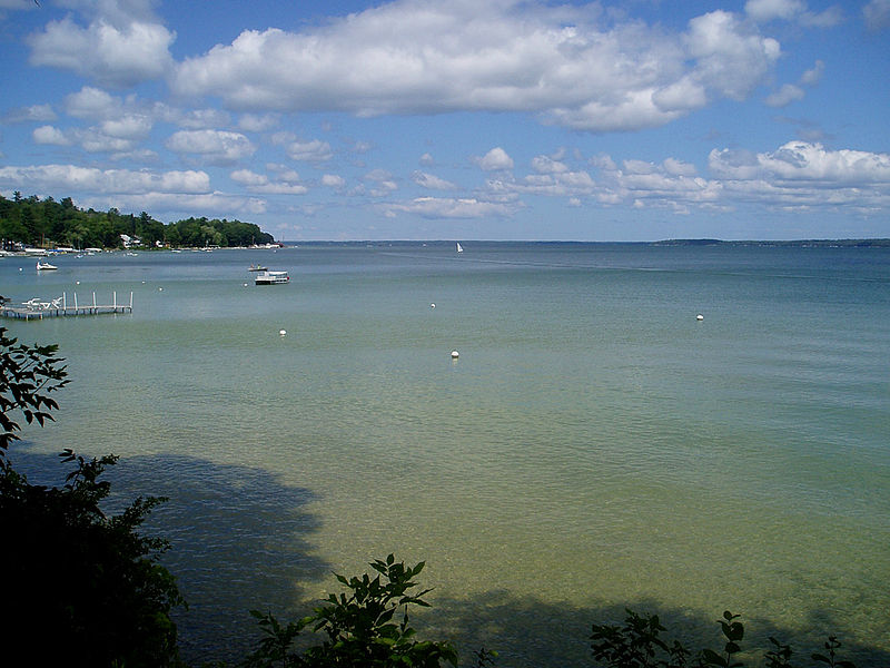 Photo shoreline view of Mullet Lake in Cheboygan, MI